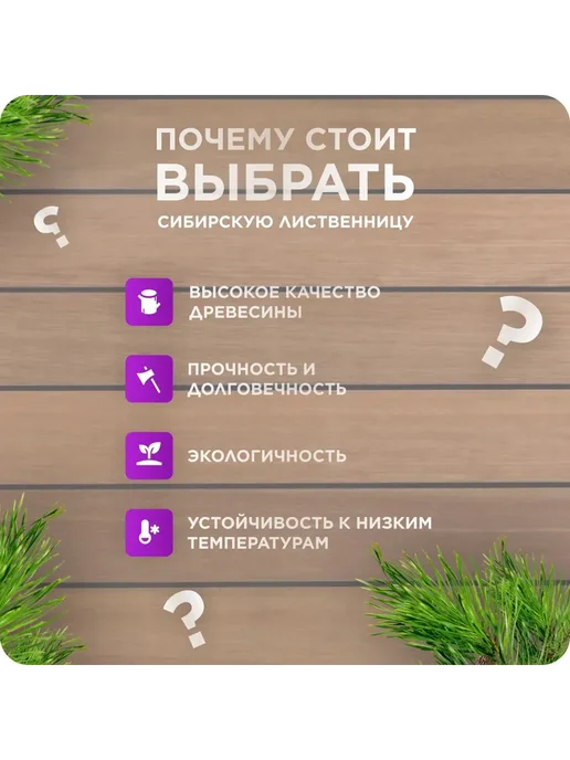 Палубная доска из лиственницы сорт АВ 28х90х1000 - 1 шт, 90x1000, 1 шт, фото 5