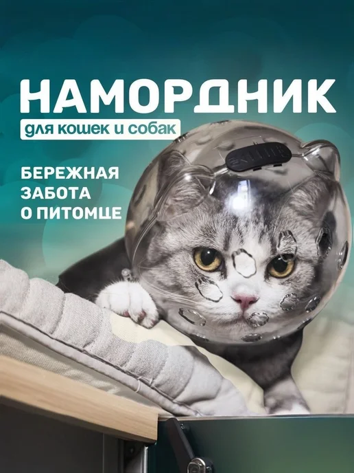 Воротник для кошек ветеринарный шар для груминга и стрижки к…, вариант