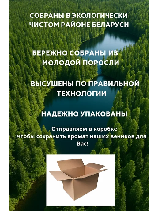 Mr.Forest Веник для бани из можжевельника, вариант, фото 6