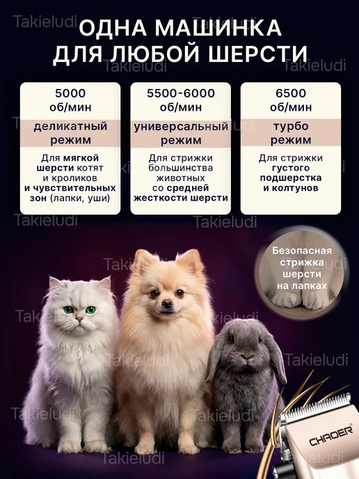 Takieludi Машинка для стрижки животных собак кошек, черный, фото 4