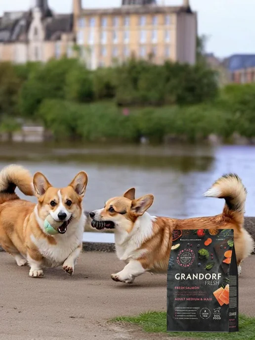 Сухой корм Grandorf' Med Батат для собак, крупные, лосось, 10 кг, фото 3