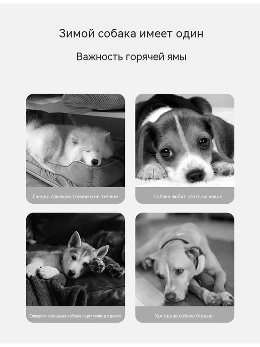 Гнездо для кошек Средний размер цвет, вариант, фото 8