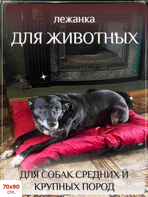 лежанка для собак, красный
