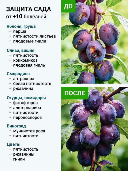 Бордоская жидкость,для защиты культур от болезней 500 мл, 500 мл, фото 3