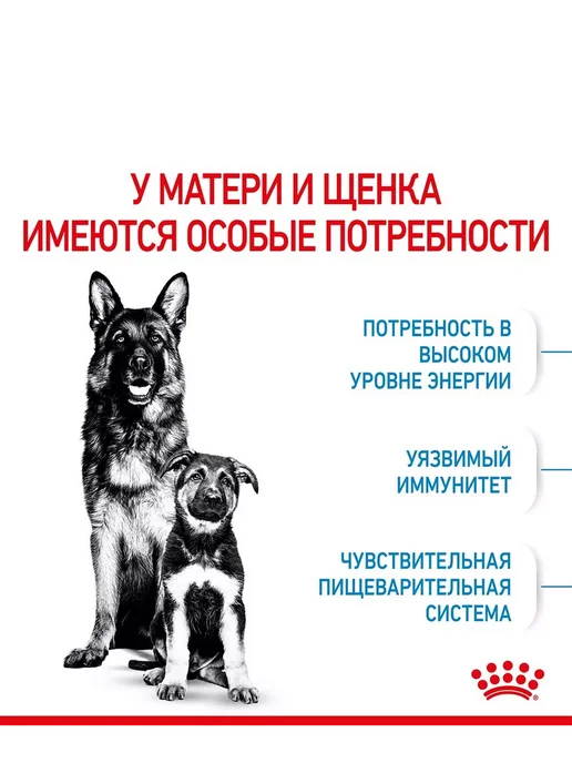 Сухой корм Royal canin Starter для собак, крупные, 18 кг, фото 4