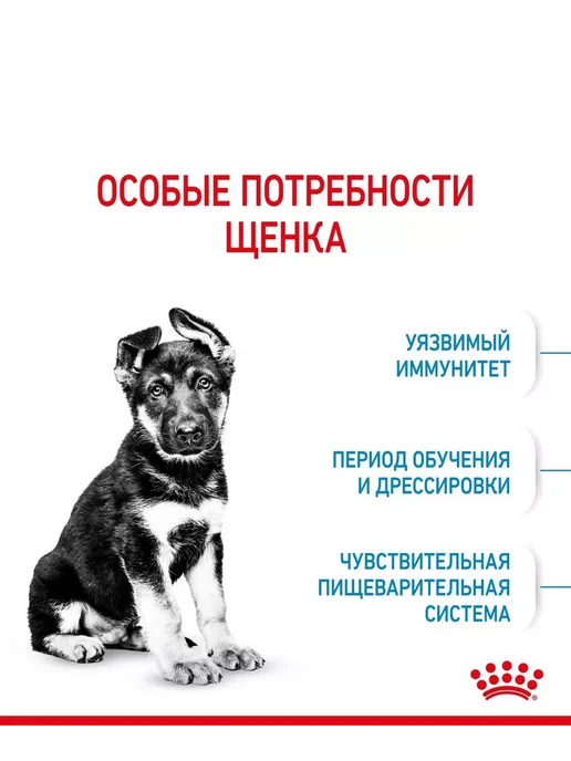 Сухой корм Royal canin для собак, крупные, щенки, 20 кг, фото 4