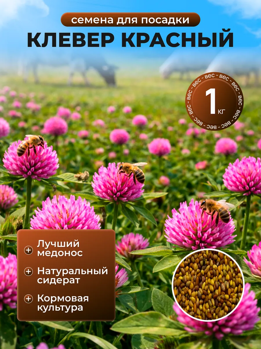 Красный клевер 1 кг