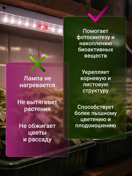 InHome Фитолампа для растений полного спектра на окно 15 Вт 58 см, 15 Вт, фото 3