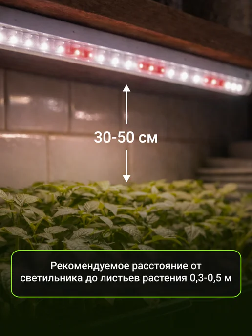 InHome Набор фитолампа для растений и рассады 15Вт, 2 шт, фото 7