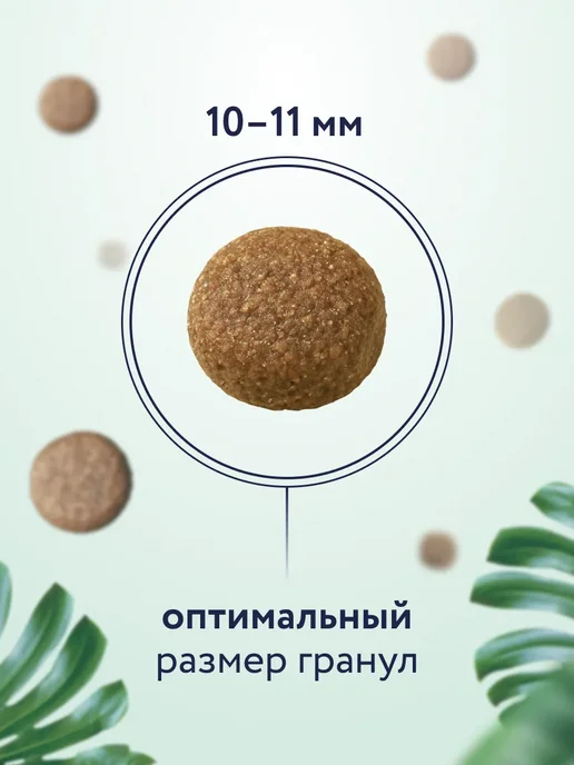 Сухой корм Florida. Яблоком для собак, средние, курица, 3 кг, фото 4