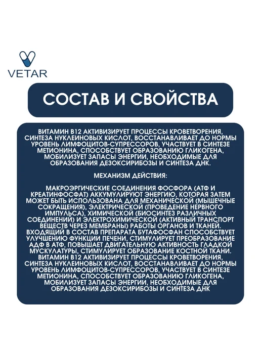Асконт+ Бутастим, 100 мл, 100 мл, фото 2
