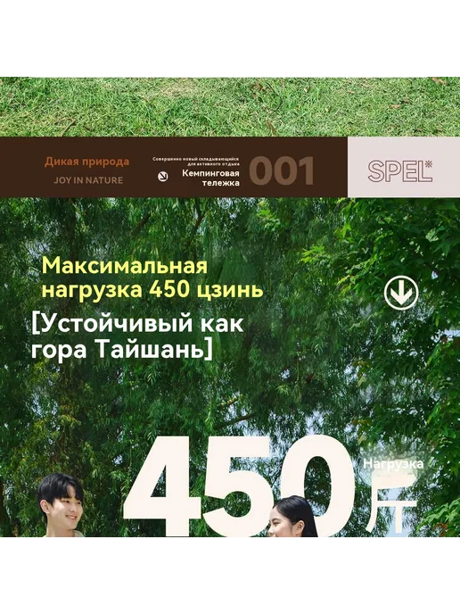 Трейлер Черный, хаки, фото 16