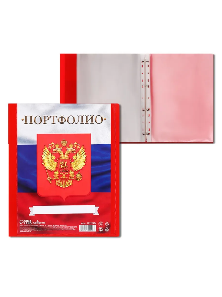 Папка-портфолио А4, на 4 кольцах, 20 файлов