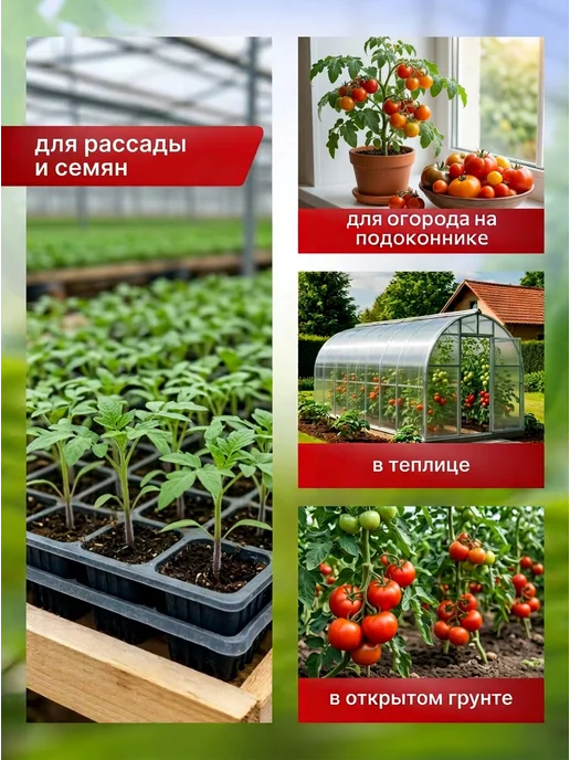 Ecolike Удобрение для томатов и перцев, подкормка в теплице и грунте, вариант, фото 3