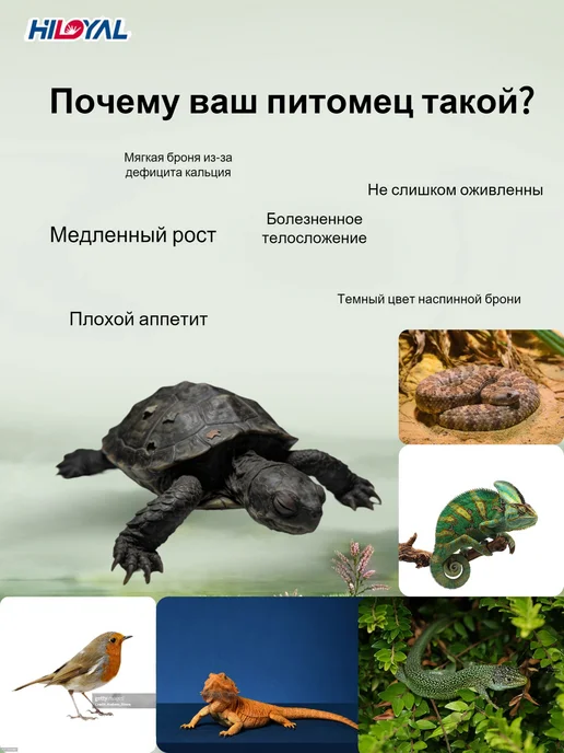 Hiloyal Греющая лампа для террариума черепах уф 50 Вт набор, 25 Вт, фото 2