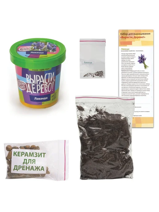 ВЫРАСТИ ДЕРЕВО! Набор для выращивания растений Лаванда банка грунт семена zk, 1 шт, фото 3