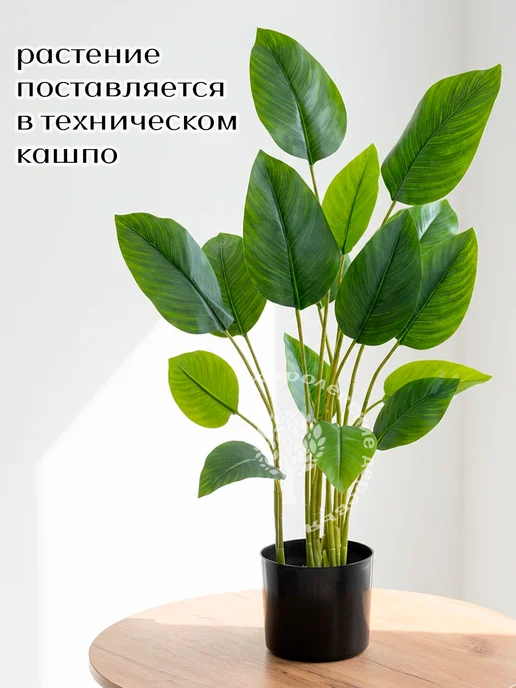 Королевские деревья Дерево искусственное банан 90 см, декоративный цветок, зеленый, фото 2