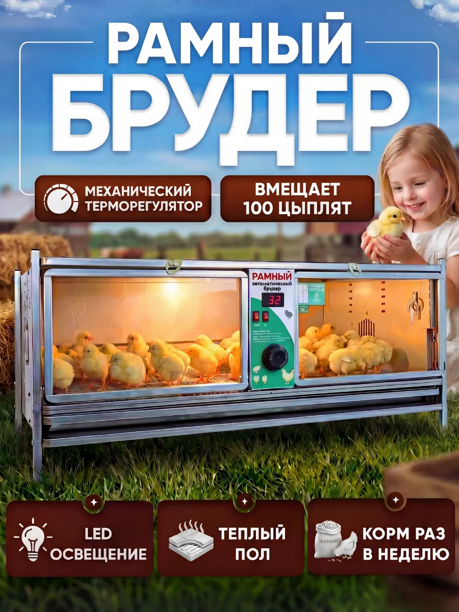 Брудер для цыплят на 100 голов механический рамный  0712