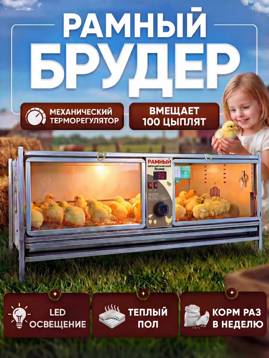 Брудер для цыплят на 100 голов механический рамный 0713