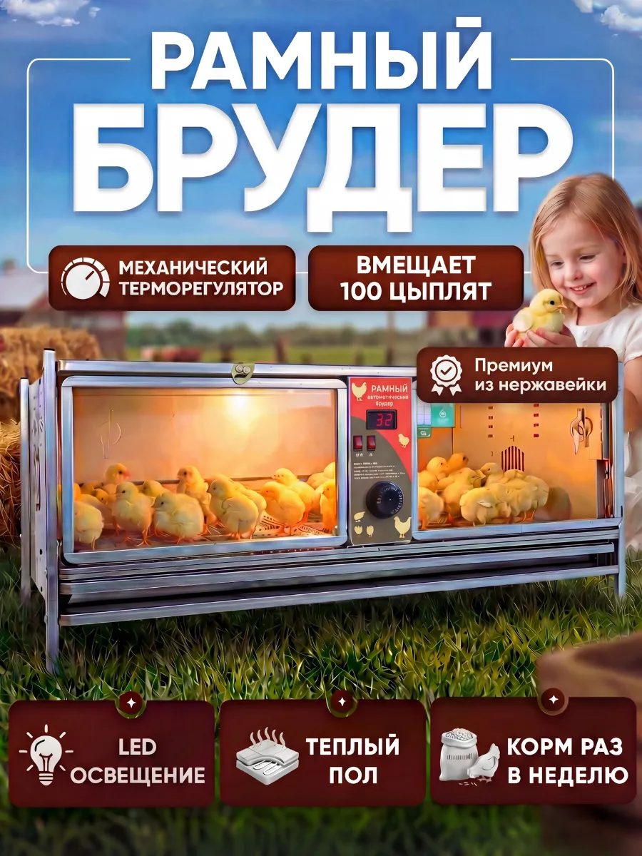 Брудер для цыплят на 100 голов механический рамный 0714