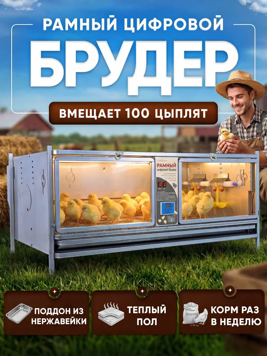 Брудер для цыплят на 100 голов электронный рамный 0716