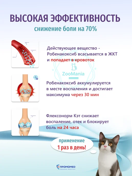 ПРОМОМЕД Флексонорм Кэт 6мг от боли и воспалений, таб. №6 для кошек, вариант, фото 2