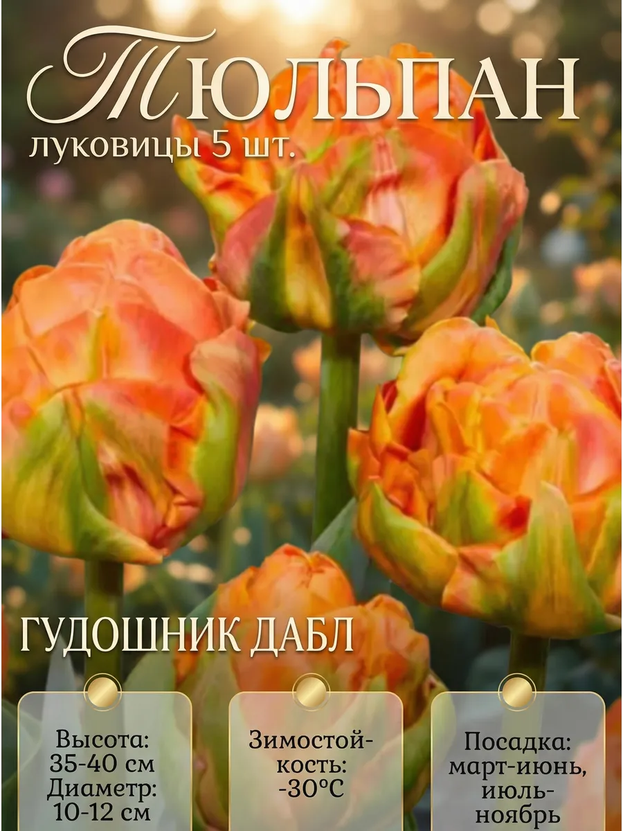 Тюльпаны луковицы для посадки Гудошник дабл 5шт
