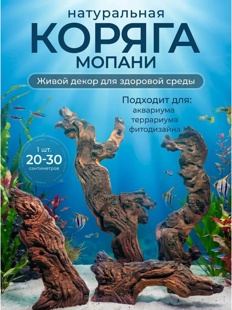 Коряга натуральная "Мопани" 20-30 см, 1 шт