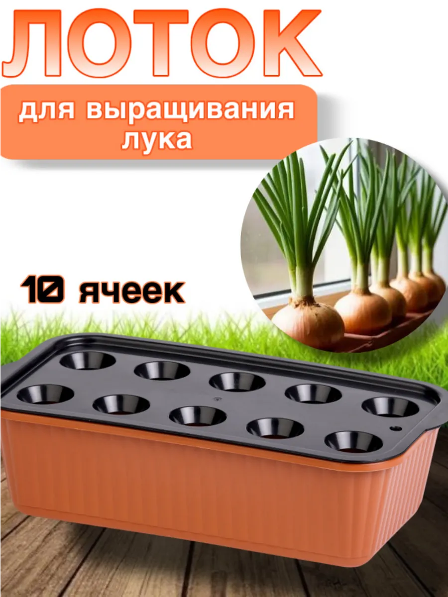 Лоток для выращивания зеленого лука на подоконнике контейнер