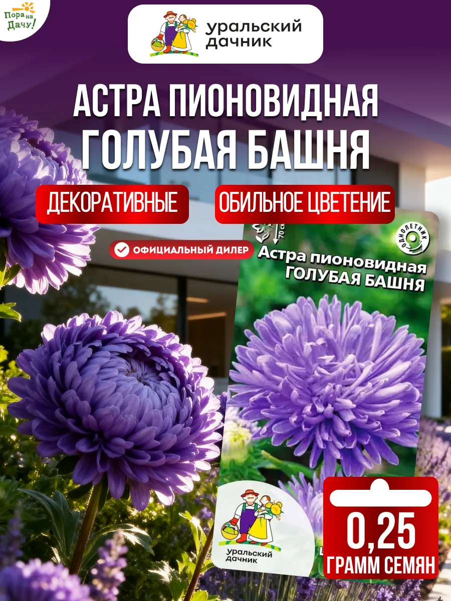 Семена цветов Астра пионовидная Голубая башня 0,25 г