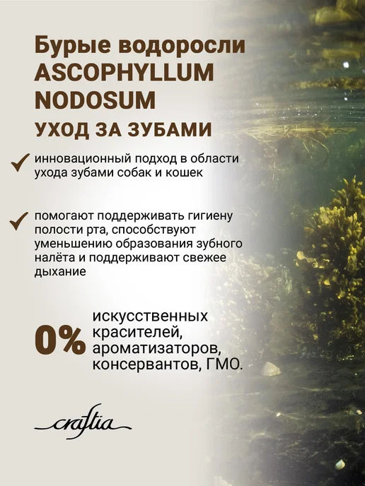 Сухой корм CRAFTIA Сел… для собак, крупные, средние, лосось, 10,12 кг, фото 6