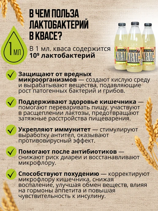 Доктор Щинов Квас Щинова белый с лактобактериями для кишечника, 3 шт, 1 шт, фото 3