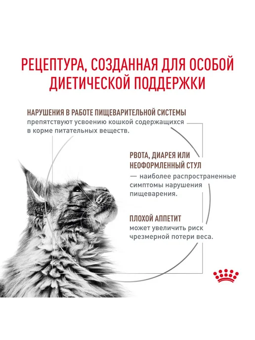 Сухой корм Royal canin Кошек для собак, 0,35 кг, фото 2