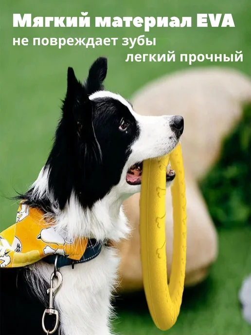 Игрушка для собак, желтый, фото 2