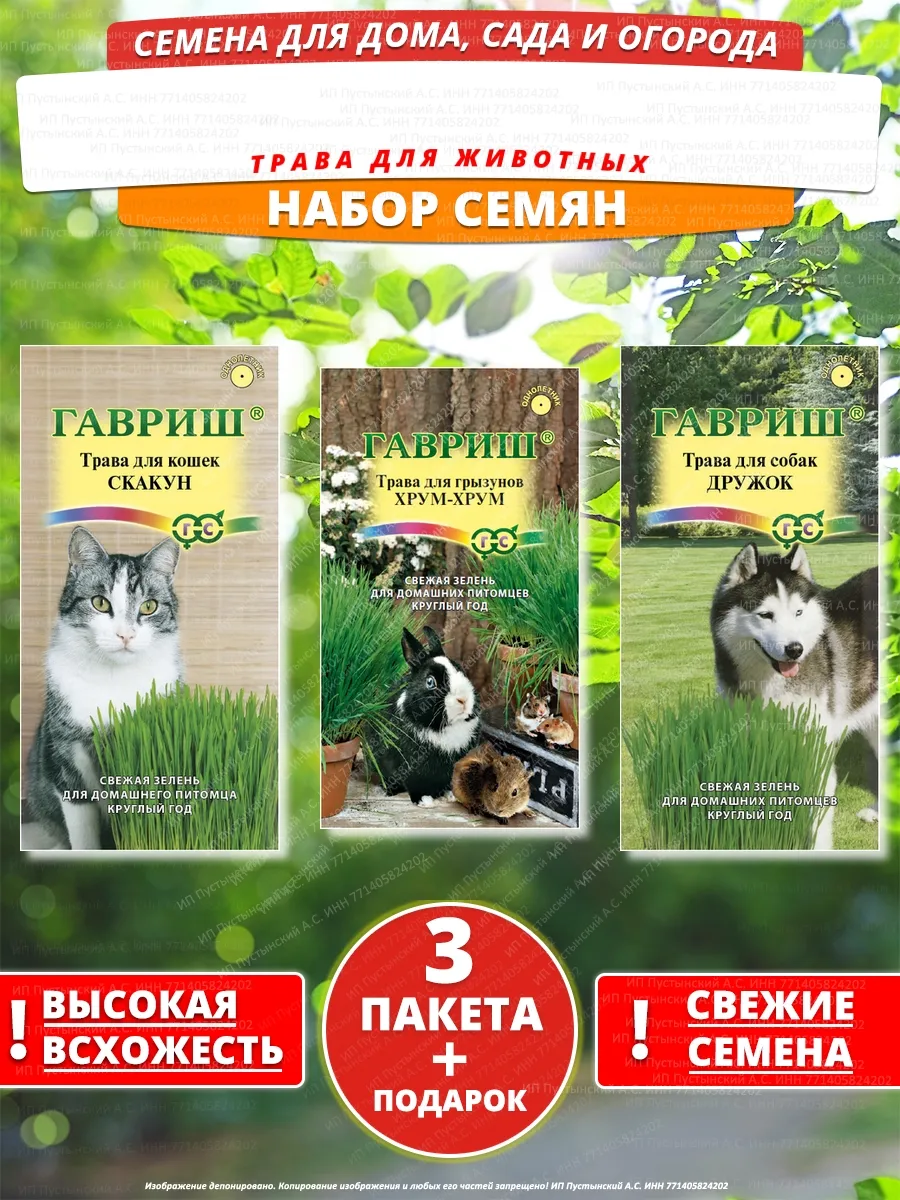 Семена трава для животных для дома сада посадки