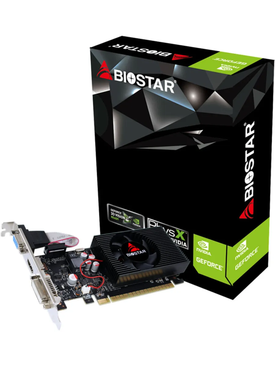 Biostar Видеокарта VN7313TH41