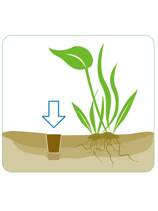 ISTA Water Plant Fertilizer 3 конуса удобрение для растений, вариант, фото 4
