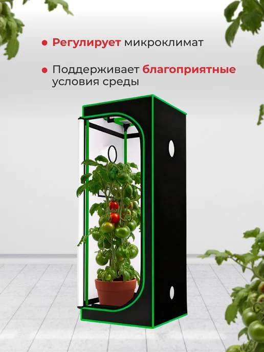 Гроубокс гроутент 60*60*160 см, 60x60, фото 3