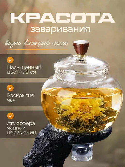Чайник заварочный стеклянный для чайной церемонии, вариант, фото 2