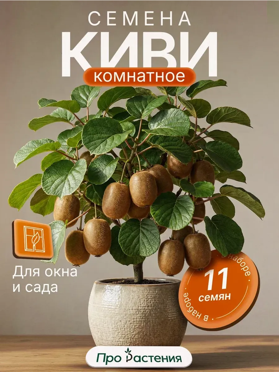 Семена Киви (Актинидия китайская) 11 шт.