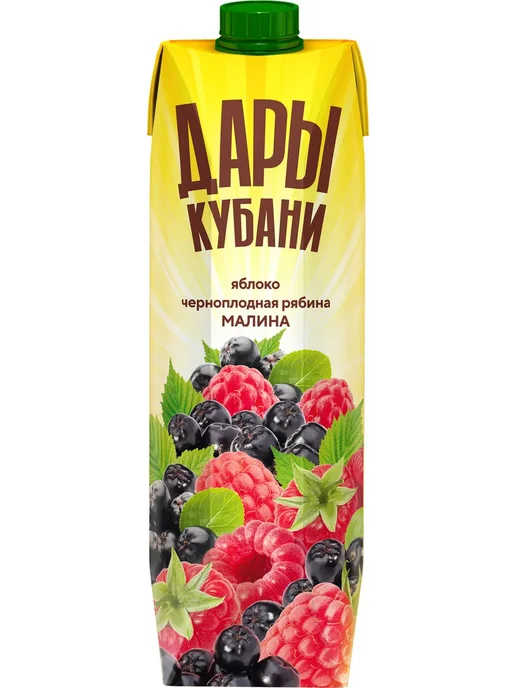 Напиток сокосодержащий Дары Кубани с яблоком, черноплодной, черный, фото 2