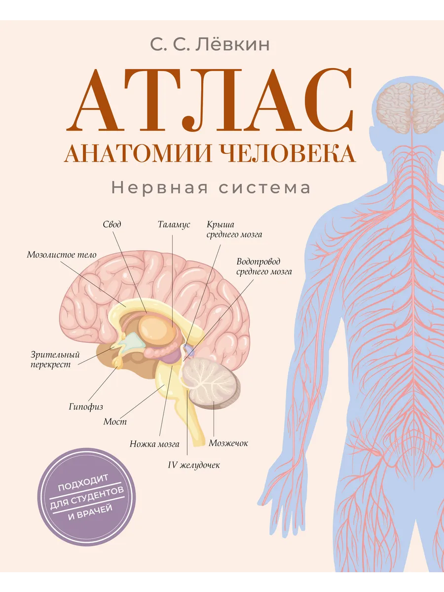 Атлас анатомии человека. Нервная система / Левкин С.С.