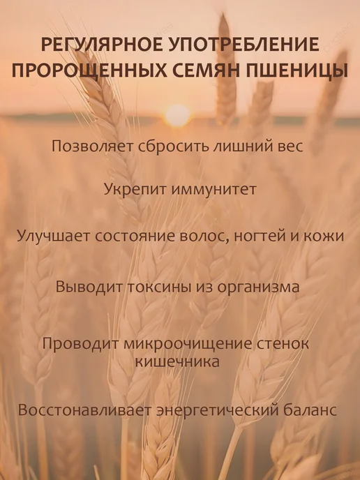 Здоровая жизнь Зёрна пшеницы пророщенные с имбирём и мёдом 35г - 5 пачек, 35 г, 5 шт, фото 2