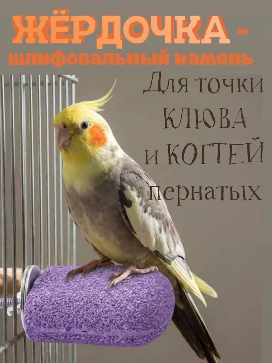 Жёрдочка точильная для попугаев и птиц