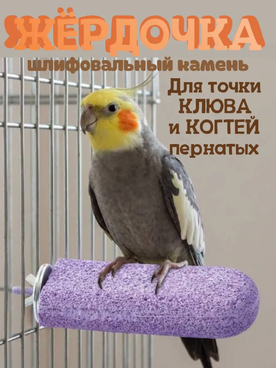 Жёрдочка для стачивания клюва и когтей пернатых