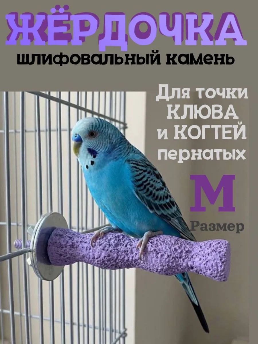 Жёрдочка для стачивания клюва и когтей птиц