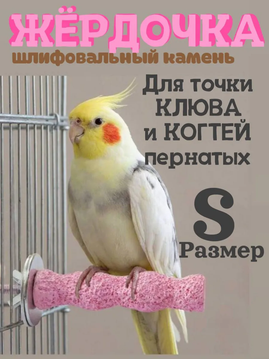 Жёрдочка для попугаев