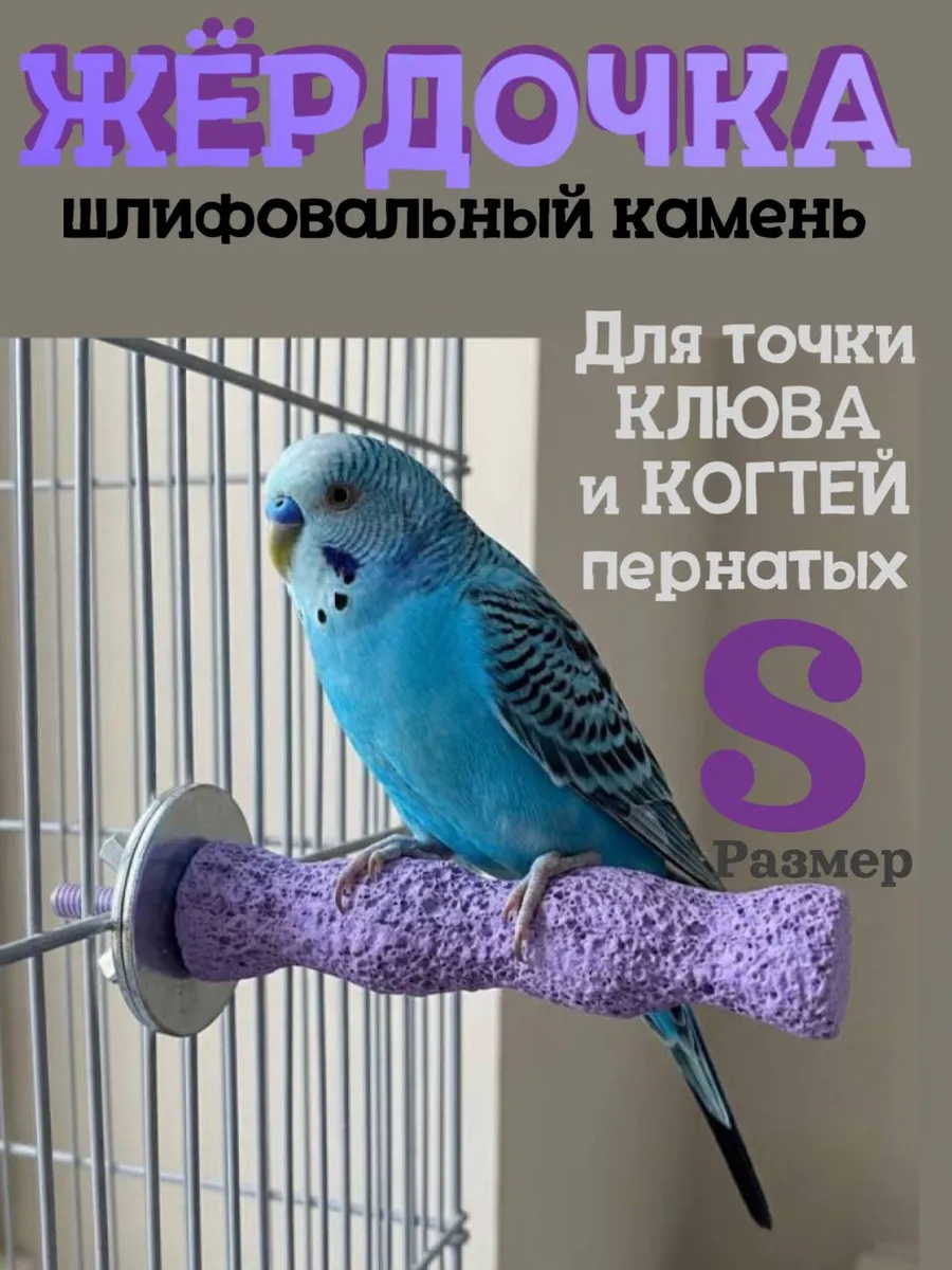 Жёрдочка для стачивания клюва и когтей попугаев