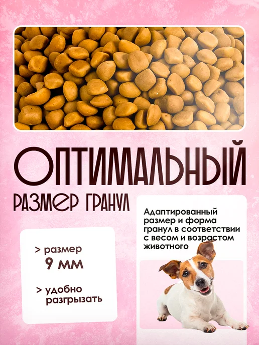 Сухой корм Delicana для собак, мелкие, 1,5 кг, фото 5