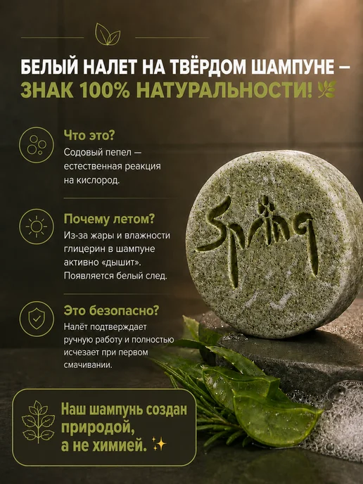 Spring. Твердый шампунь для жирных волос для роста и от выпадения, вариант, фото 2